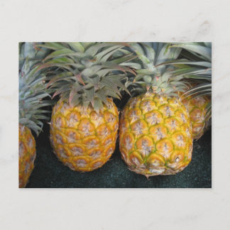 Ananas Paradise Vykort