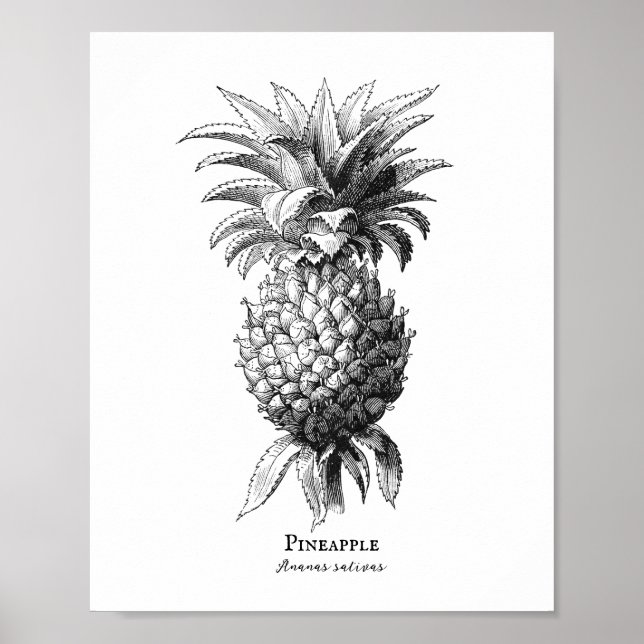 Ananas Poster (Framsidan)