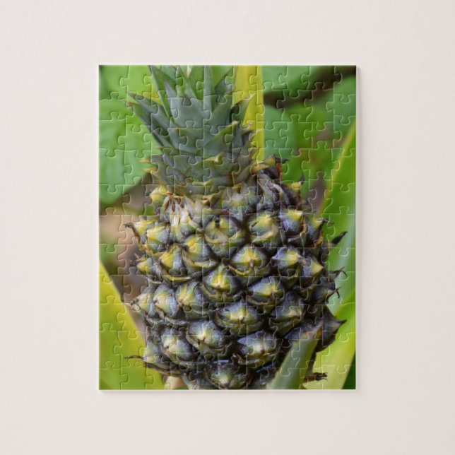 Ananas Pussel (Vertikal)