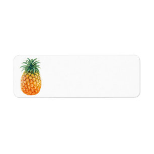 Ananas Returadress Etikett