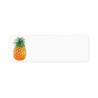 Ananas Returadress Etikett