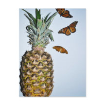 Ananas Roligt