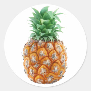 Ananas Runt Klistermärke