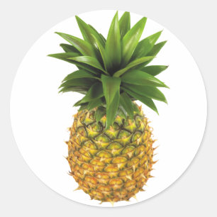 Ananas Runt Klistermärke
