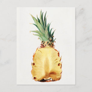 Ananas skuren i halvt Frukt Akvarellmålning Vykort