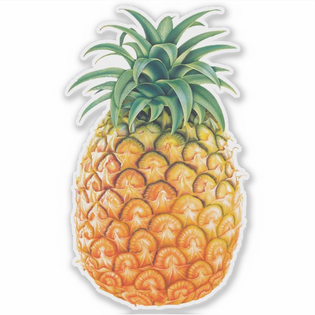 Ananas Sticker Klistermärken (Framsida)