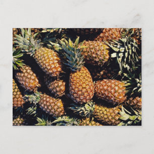 Ananas, Tulum, Mexiko Vykort