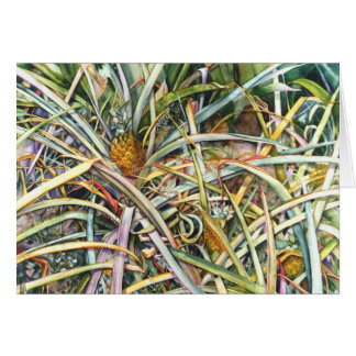 Ananasfält 2,95 OBS kort