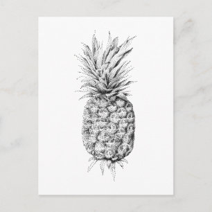 Ananasillustration Vykort