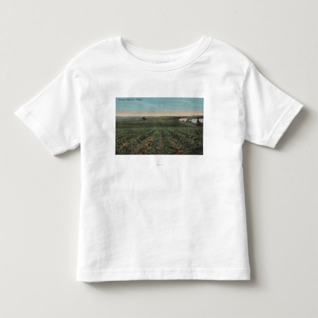 Ananaskoloniredo för skörd i Florid T Shirt (Framsida)