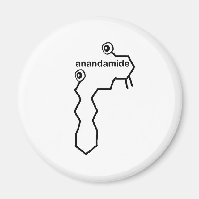 Anandamid Neurotransmitter Magnet (Framsidan)