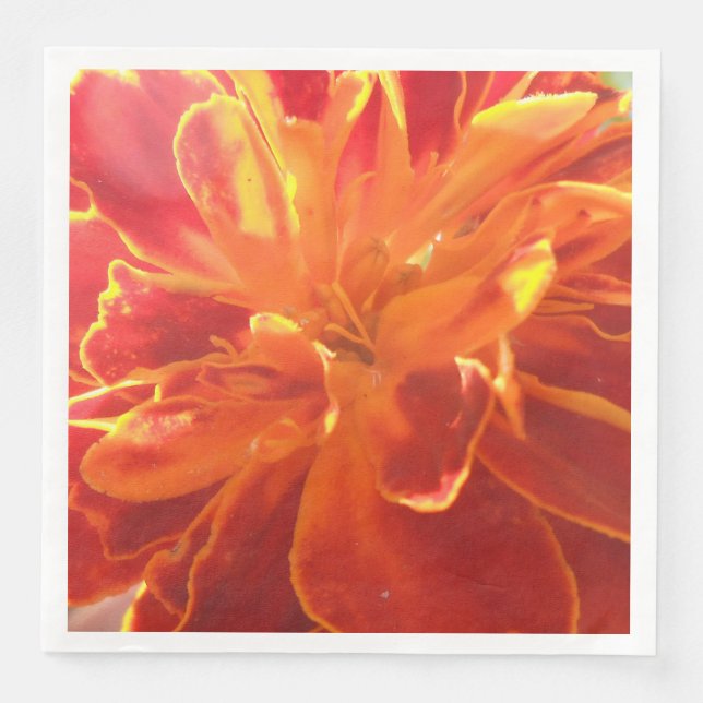 Anastaise Pappersservett (Framsida)