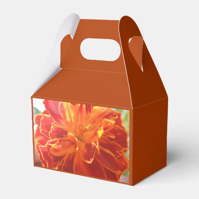 Anastaise Presentaskar (Framsidan Sidan)