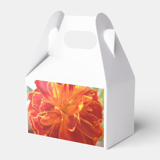 Anastaise Presentaskar (Framsidan Sidan)