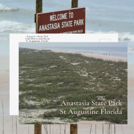 Anastasia State Park St Augustine FL Photographic Vykort