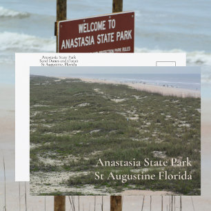 Anastasia State Park St Augustine FL Photographic Vykort
