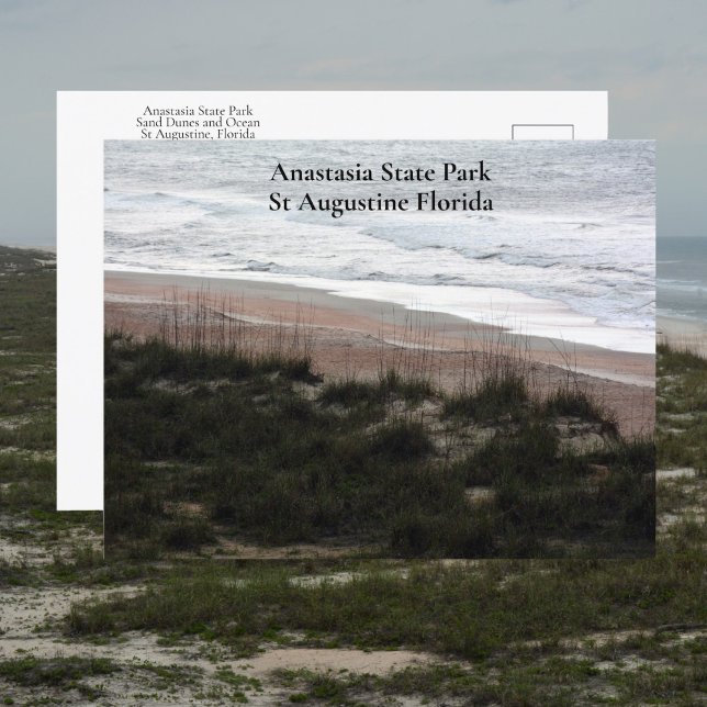 Anastasia State Park St Augustine Florida Resa Vykort (Skapare uppladdad)