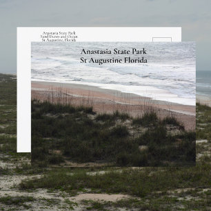 Anastasia State Park St Augustine Florida Travel Vykort