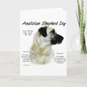 Anatolian design för herdehundhistoria helgkort