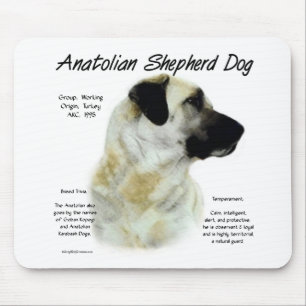 Anatolian design för herdehundhistoria musmatta