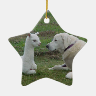 Anatolian herde och Alpaca Cria Julgransprydnad Keramik