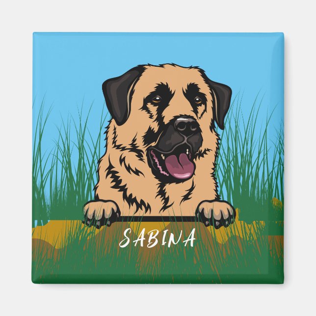 Anatolian Shepherd Dog in Nature  Magnet (Framsidan)
