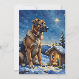 Anatolian Shepherd Dog vakande över julkrubba Julkort