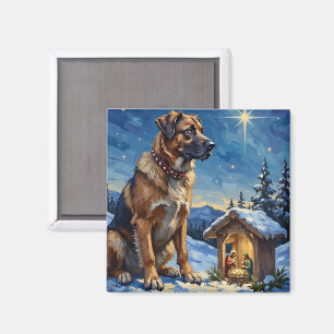 Anatolian Shepherd Dog vakande över julkrubba Magnet