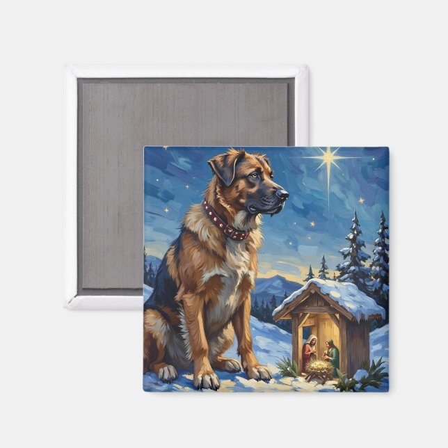 Anatolian Shepherd Dog vakande över julkrubba Magnet (Front/Back)