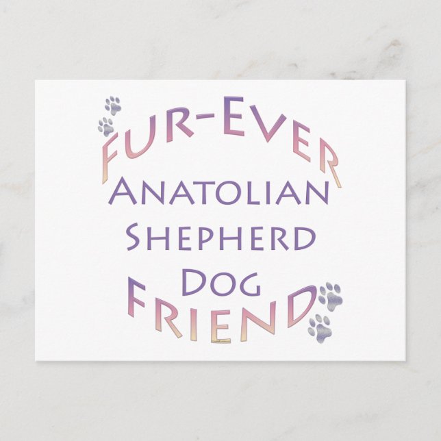 Anatolian Shepherd Hund Furever Vykort (Framsida)