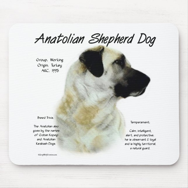 Anatolian Shepherd Hund History Musmatta (Framsidan)