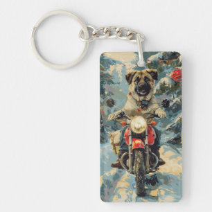 Anatolian Shepherd Hund Riding Motorcle jul
