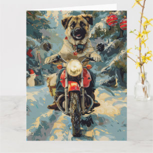 Anatolian Shepherd Hund Riding Motorcle jul Kort