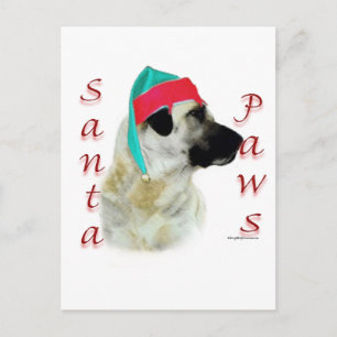 Anatolian Shepherd Hund Santa Tassar Helg Vykort