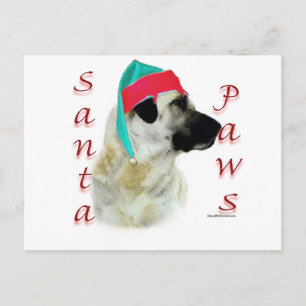 Anatolian Shepherd Hund Santa Tassar Helg Vykort
