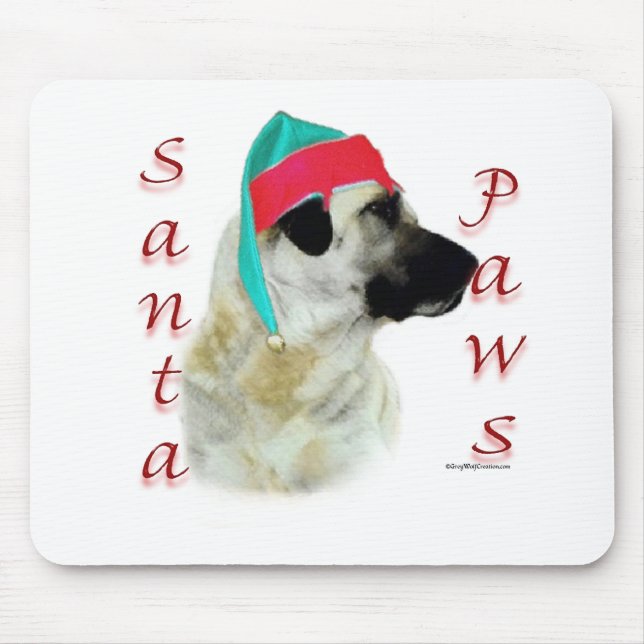 Anatolian Shepherd Hund Santa Tassar Musmatta (Framsidan)