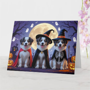 Anatolian Shepherd Hundar Pumpkin Halloween Funny Kort