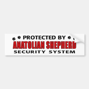 Anatolian Shepherd Security Bildekal