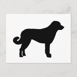 Anatolian Shepherd silo black.png Vykort
