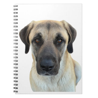 Anatolian Shepherd Spiral Notebook Planner Anteckningsbok