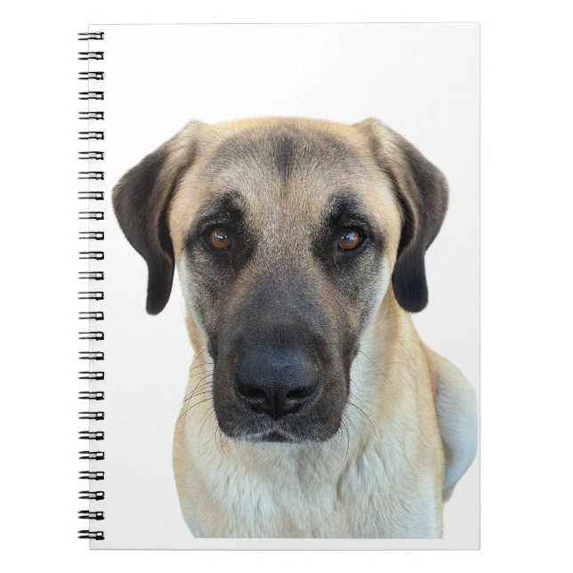 Anatolian Shepherd Spiral Notebook Planner Anteckningsbok (Framsidan)