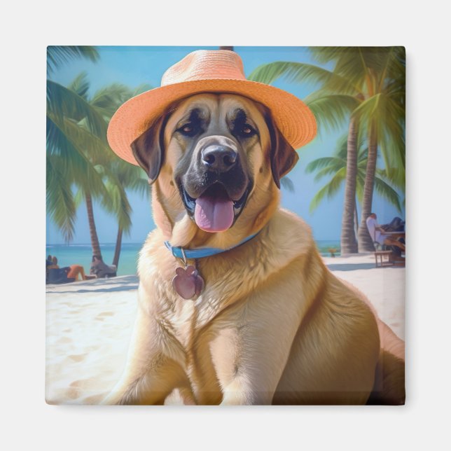 Anatolisk herdehund på strand, sommarpresent till  magnet (Framsidan)