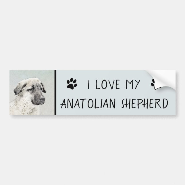 Anatolisk shepherd Painting - Original Hund Art Bildekal (Framsidan)