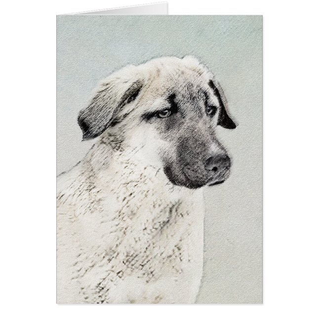 Anatolisk shepherd Painting - Original Hund Art Hälsningskort (Framsidan)