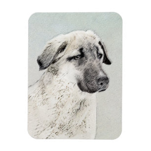 Anatolisk shepherd Painting - Original Hund Art Magnet