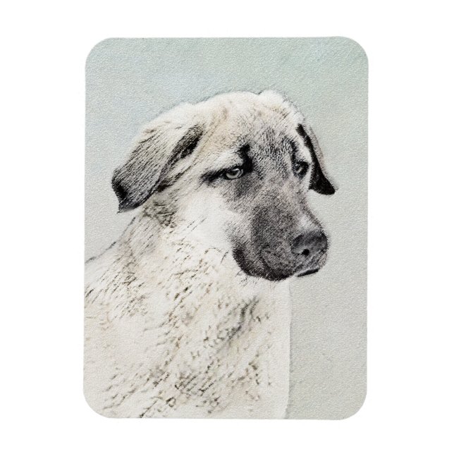 Anatolisk shepherd Painting - Original Hund Art Magnet (Vertikal)