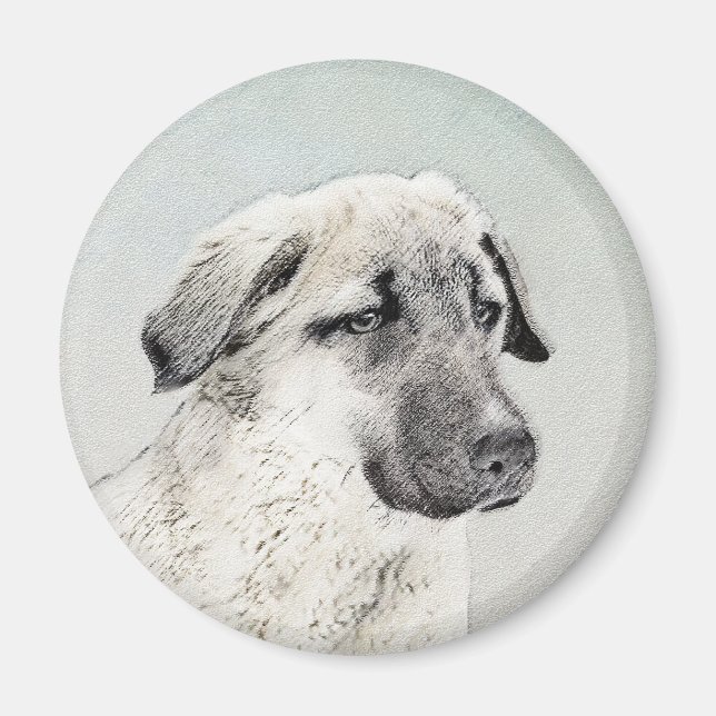 Anatolisk shepherd Painting - Original Hund Art Magnet (Framsidan)