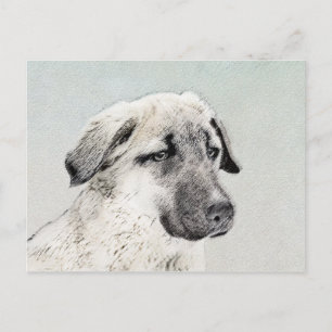 Anatolisk shepherd Painting - Original Hund Art Vykort