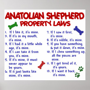 ANATOLISK SHEPHERD PL2 POSTER