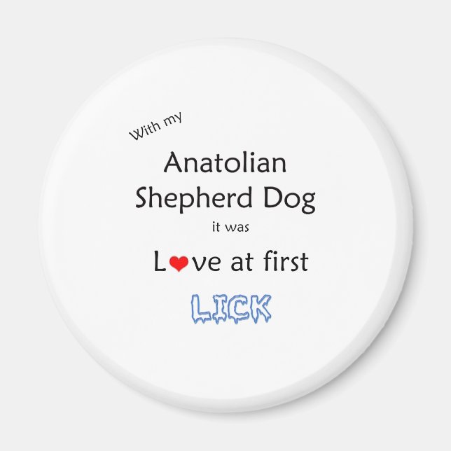 Anatoliska Shepherd Hund Slickar design Magnet (Framsidan)